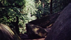 For&ecirc;t de HUELGOAT